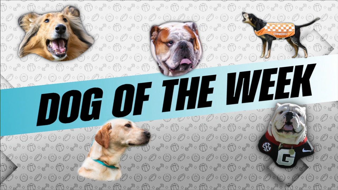 Out of Pocket selects its (under)dogs of Week 7